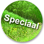 speciaal